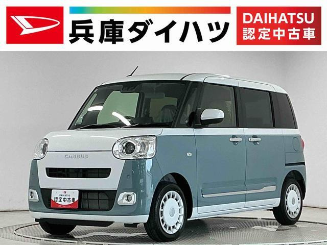 ムーヴキャンバス  ストライプス G