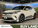 モデリスタエアロ 8型SDナビ 前後ドラレコ バックカメラ