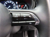 前車追従機能付きのレーダークルーズを備えています。自動で車間距離を調整してくれますので、アクセル操作の疲労軽減に繋がります。特に長距離を帰省される方にはお奨めですよ。