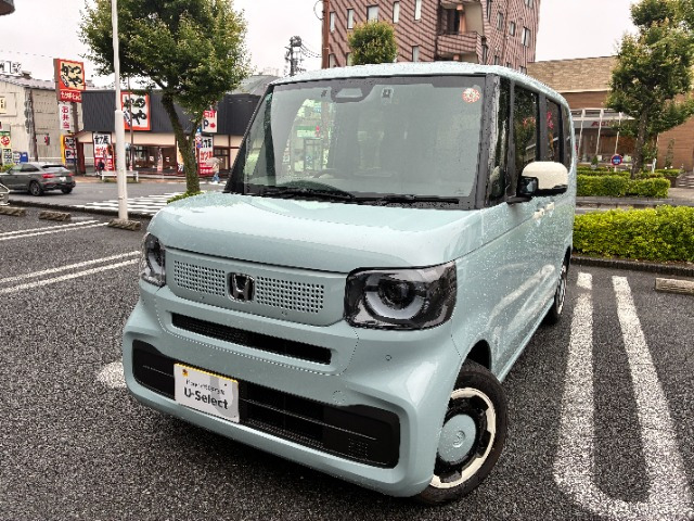 N-BOX ファッションスタイル モノトーン 