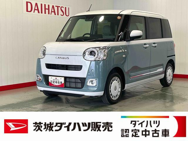 ムーヴキャンバス  ストライプス G