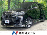 モデリスタエアロ 後席モニター 純正10型ナビ バックカメラ