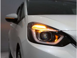 ドアミラーウインカー。周りの車に「ウインカー、ハザード」を気づいてもらえる装備です。たから安心、安全!