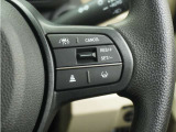 ◆アダプティブクルーズコントロール◆予め設定した車速内でクルマが自動的に加減速。前走車との適切な車間距離を維持しながら追従走行します。【LKAS】車線維持支援システムでステアリング操作を支援。