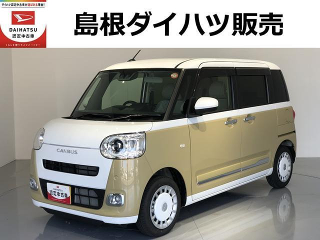 ムーヴキャンバス  ストライプス G