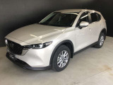 斜め前が車の決めポーズ!