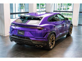 Rear Lamborghini logo matt black