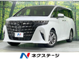 ガラスルーフ 純正14型ナビ 両側電動ドア 全周囲カメラ 100V電源