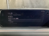 メーカーオプションTVチューナー付!