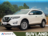 全周囲カメラ 純正10インチナビ プロパイロット レーダークルーズ