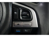 アイサイトの運転支援機能、クルーズコントロールのボタンです。前の車についていく機能や、一定の速さで走行する機能があります。