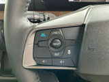 プロパイロット搭載車両です。追従のクルーズコントロールにハンドル支援で長距離運転も疲れません!
