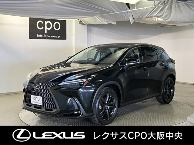 NX 250 バージョンL NX 250 バージョンL
