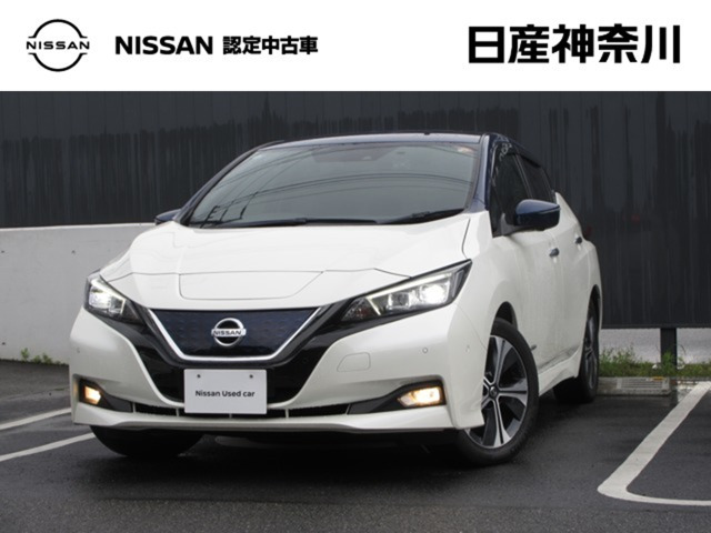 リーフ G