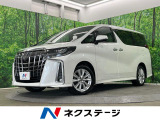 4WD 両側電動ドア バックカメラ レーダークルーズ LEDヘッド