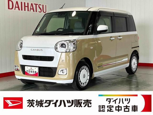 ムーヴキャンバス  ストライプス G