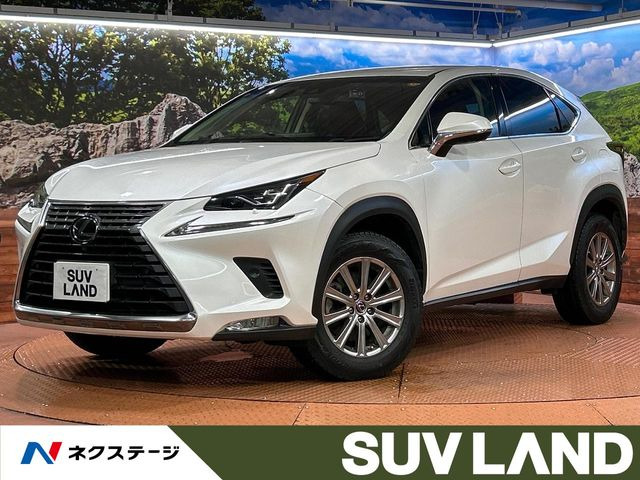 NX 200t Iパッケージ