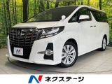 BIGX10型ナビ 後席モニター バックカメラ クルコン