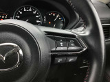 レーダークルーズコントロールを装備。アクセルやブレーキを操作しなくても、自動で先行車との車間距離を保ち追従走行できます。長距離や高速道路を運転する際に、ドライバーへの負担を軽減します。