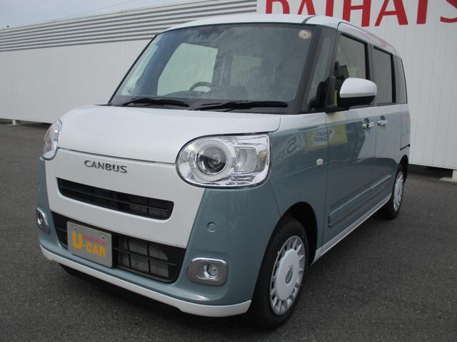 ムーヴキャンバス  ストライプス G