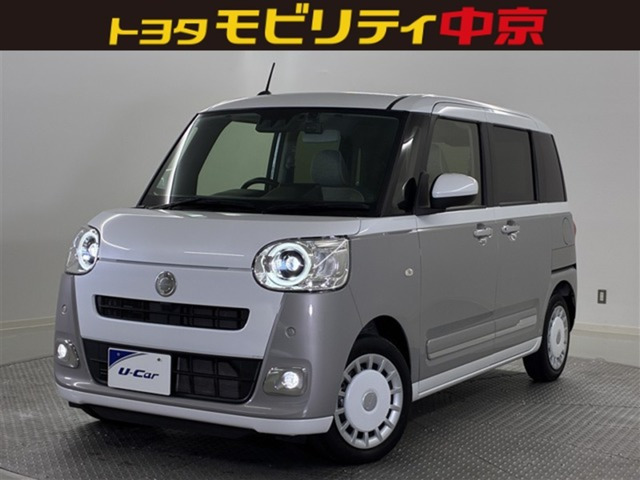 ムーヴキャンバス  ストライプス G