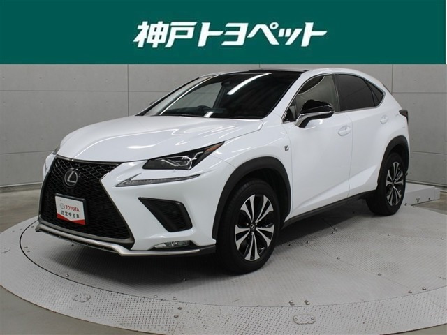NX 300 Fスポーツ 