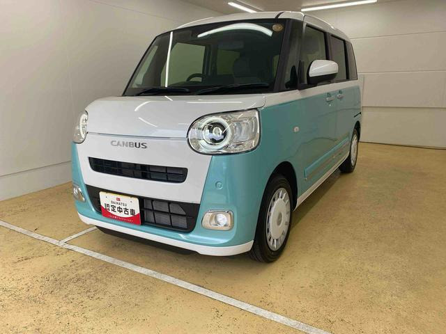 ムーヴキャンバス  ストライプス G