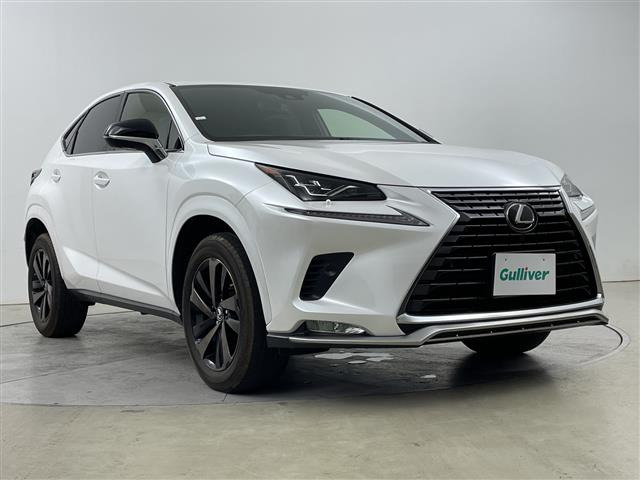 NX 300 スパイス&シック 4WD サンルーフ