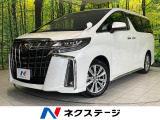両側電動ドア フルセグ バックカメラ 衝突被害軽減 レーダークルーズ