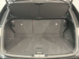 レクサス車らしい細部までこだわった高級感と見る人を一目で虜にするエモーショナルな魅力を持ち合わせております。
