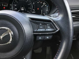 レーダークルーズコントロールを装備。アクセルやブレーキを操作しなくても、自動で先行車との車間距離を保ち追従走行できます。長距離や高速道路を運転する際に、ドライバーへの負担を軽減します。