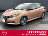 日産の電気自動車、リーフが入ってきました。