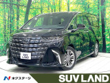 禁煙車 左右独立ムーンルーフ 純正14型ナビ 全周囲カメラ ETC