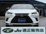 NX  スパイス&シック ワンオーナー車 サンルーフ 黒革シート メーカーSDナ