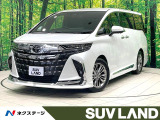 禁煙車 モデリスタエアロ ユニバーサルステップ 純正13型後席モニター