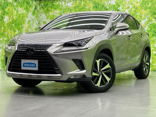NX 300h バージョンL 