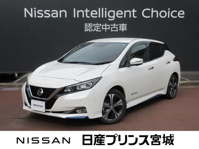 リーフ G