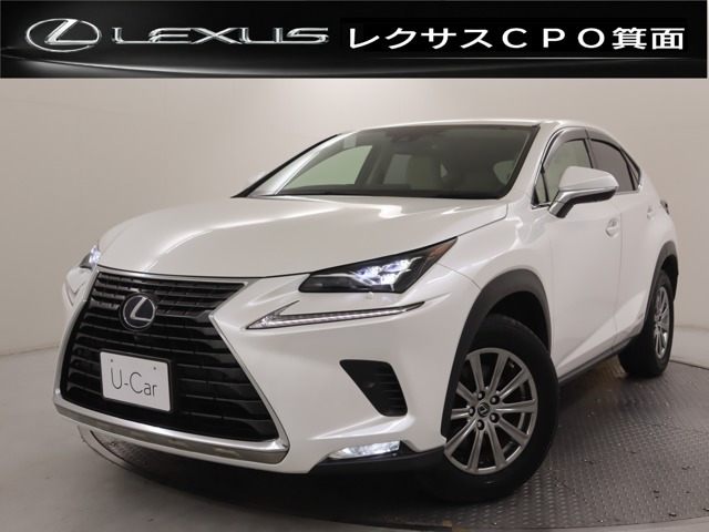 NX 300h Iパッケージ 4WD