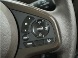 ◆アダプティブクルーズコントロール◆予め設定した車速内でクルマが自動的に加減速。前走車との適切な車間距離を維持しながら追従走行します。【LKAS】車線維持支援システムでステアリング操作を支援。