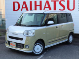 ムーヴキャンバス  ストライプス G