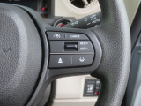 HondaSENSINGの機能のスイッチです。高速道路で活躍するオートクルーズやレーンキープシステムを操作します