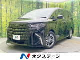 両側電動ドア 純正14型ナビ 後席モニター 全周囲カメラ 100V電源