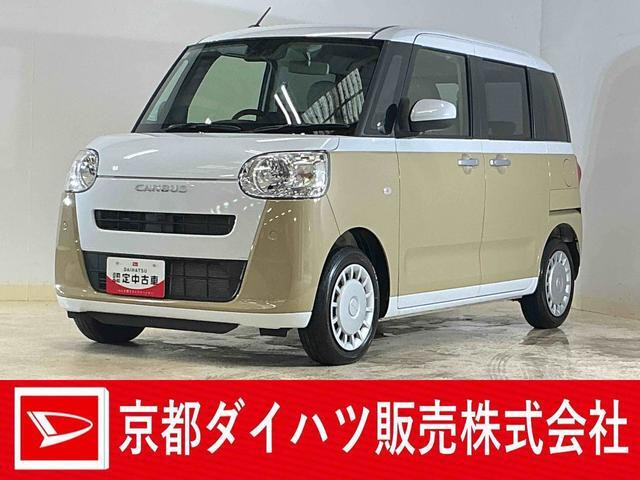 ムーヴキャンバス  ストライプス X