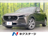 純正SDナビ 全周囲カメラ 衝突被害軽減システム レーダークルーズ