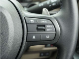 ◆アダプティブクルーズコントロール◆予め設定した車速内でクルマが自動的に加減速。前走車との適切な車間距離を維持しながら追従走行します。【LKAS】車線維持支援システムでステアリング操作を支援。