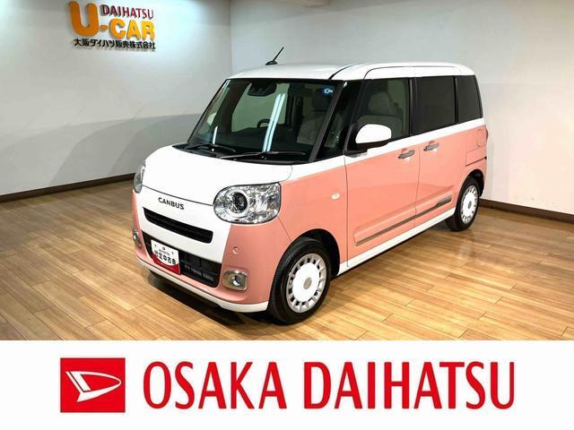ムーヴキャンバス  ストライプス G