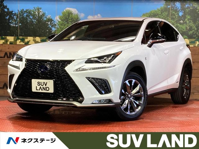 NX 300h Fスポーツ