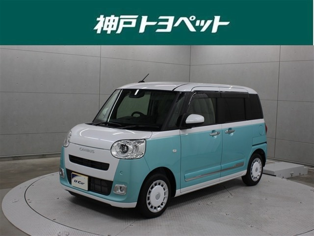 ムーヴキャンバス  ストライプス G