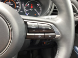 ミリ波レーダーで低速域〜高速域まで、先行車との車間を維持しながら追従走行を可能にします。長距離走行などでドライバーの負担を軽減します。