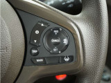 ◆アダプティブクルーズコントロール◆予め設定した車速内でクルマが自動的に加減速。前走車との適切な車間距離を維持しながら追従走行します。【LKAS】車線維持支援システムでステアリング操作を支援。